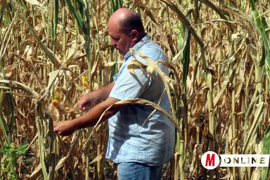 Dvorák Ede (Fotó: Kecskés István)