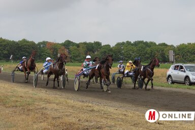 Az adai ügetőn ismét színvonalas futamokat láthatott a közönség (Fotó: Csincsik Zsolt)