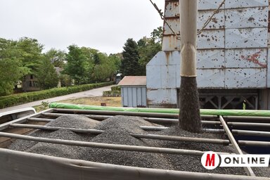 A betakarított napraforgó hozama holdanként 700–1000 kilogramm (Fotó: Gulyás Réka)