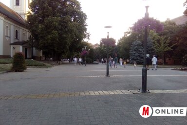 A nagykikindai központ területén pénteken hajnalban kezdik a kezelést (Fotó: Vidács Hajnalka)