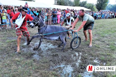 Fotó: Horváth Zsolt  