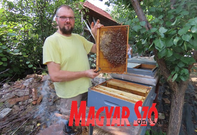 Lakatos Zsolt egész évben irtotta az atkákat a méhesben (Fotó: Csincsik Zsolt felvétele)