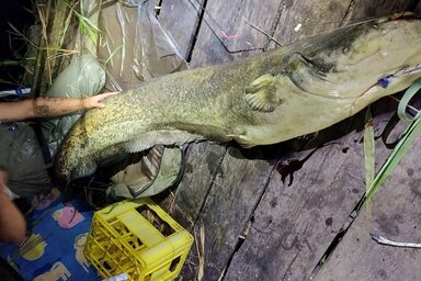 Kristóf élete nagy fogása