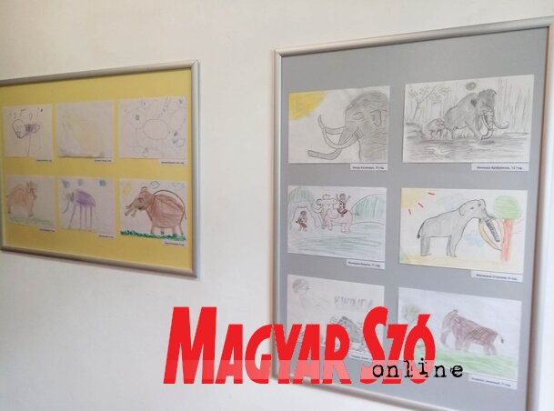 Részlet A mamut társaságában című rajzpályázat kiállításából (Fotó: Vidács Hajnalka) Részlet A mamut társaságában című rajzpályázat kiállításából (Fotó: Vidács Hajnalka)