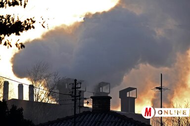 Az újvidéki fatelepeken fából és szénből is van elegendő, a szakértők szerint a drágulástól sem kell egyelőre tartani. A kéményeink az előttünk álló télen is füstölni fognak (Fotó: Ótos András felvétele)