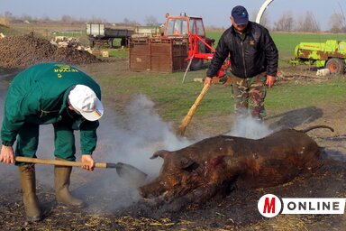 (Fotó: Kecskés István)