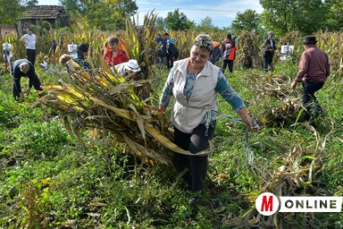 Fotó: Gergely József