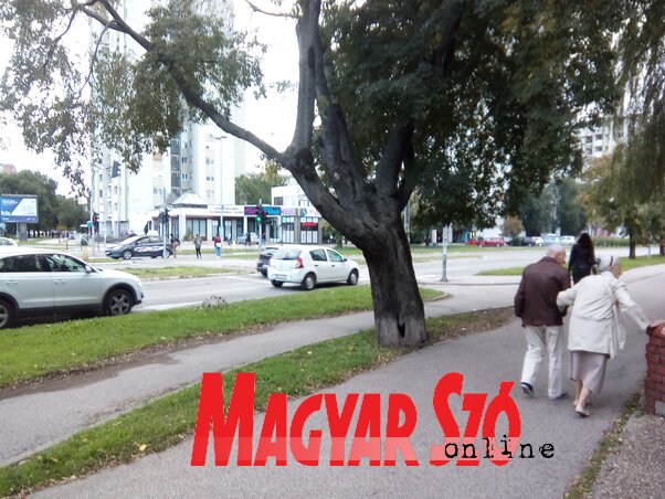 (Fotó: Szeli Balázs felvétele) (Fotó: Szeli Balázs felvétele)