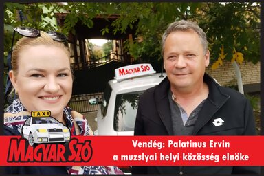 Palatinus Ervin (Fotó: Kállai Göblös Nikoletta)