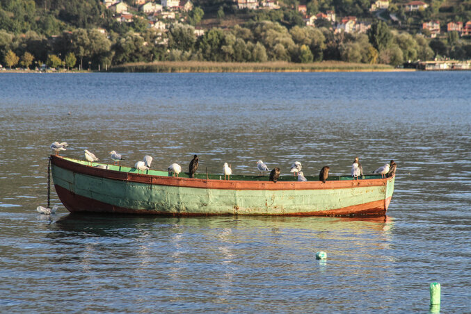 A tó jellegzetes csónakjai (Fotó: Diósi Árpád)