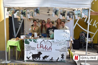 Tegyük szebbé az örökbefogadásra váró védencek fagyos és hideg napjait (Fotó: Gulyás Réka felvétele)