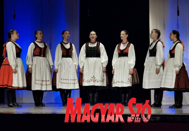 Herceg Elizabetta felvétele Herceg Elizabetta felvétele
