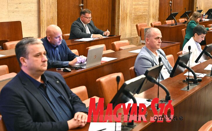 Munkában a városi képviselő-testület tagjai, a tegnapi ülést is a tartományi képviselőház  termében tartották meg (Fotó: Ótos András felvétele)