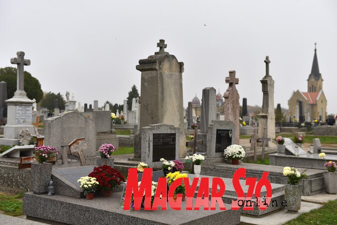 (Fotó: Molnár Edvárd) (Fotó: Molnár Edvárd)