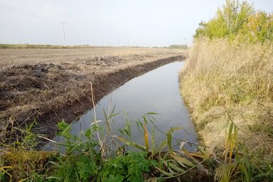 Fotó: Csincsik Zsolt