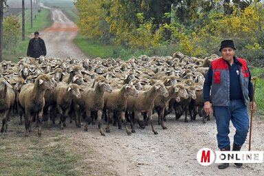 Megindultak (Fotó: Gergely Árpád)