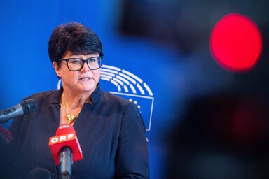 Sabine Verheyen (MTI)