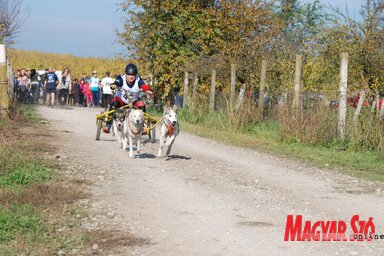 A fogathúzó verseny volt az első a futamok között (Horváth Attila felvétele)