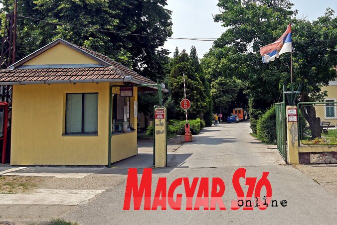 Gergely Árpád felvétele Gergely Árpád felvétele