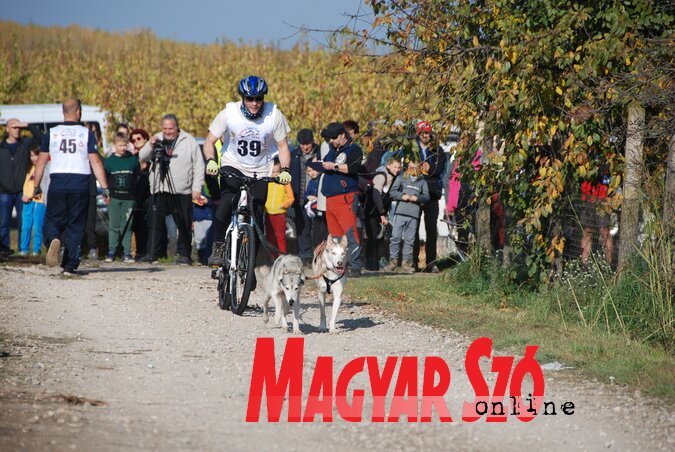 Kerékpár kategóriában egy, illetve két kutyával indultak (Fotó: Horváth Attila)
