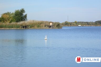 Az elmúlt napok esőzéseinek köszönhetően a tó vízszintje mintegy 3 centiméternyit emelkedett (Tóth Péter felvétele)