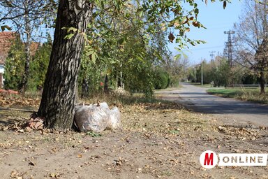A közvállalat csak a zsákokba gyűjtött levelet szállítja el (Lakatos János felvétele)