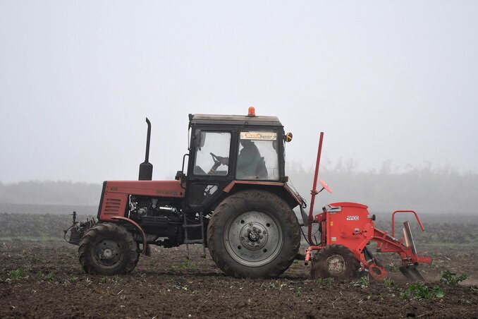 Becej, 30.10.2022. - Poljski radovi u okolini Beceja.  (BETAPHOTO/DRAGAN GOJIC)