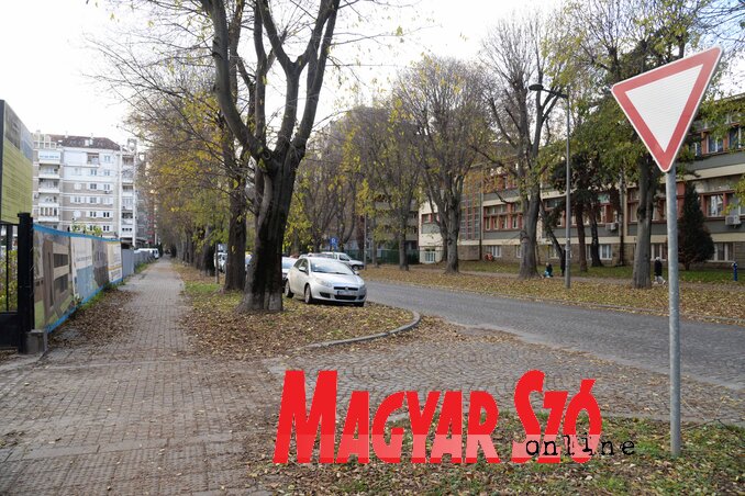 Dávid Csilla felvétele Dávid Csilla felvétele