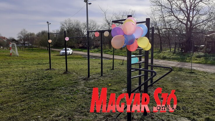 Dancsó Áron felvétele Dancsó Áron felvétele