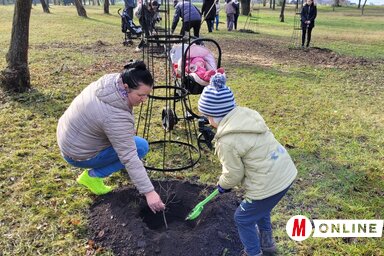Ez alkalommal is 11 fát ültettek el (Lakatos János felvétele)