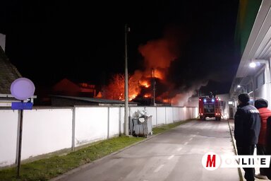 Fúró Dénes felvétele