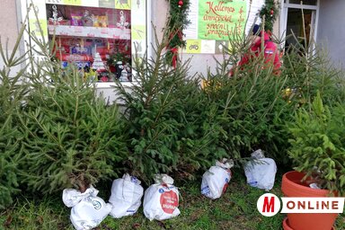 Tóth Péter felvétele