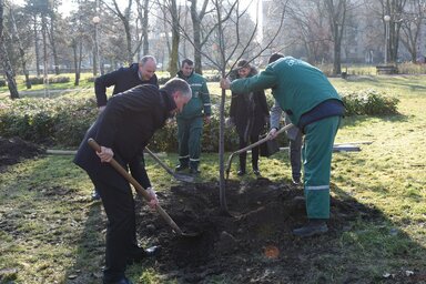 Vladimir Zubac/novisad.rs