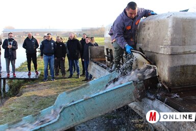 1400 kilogramm ivadék, azaz 7000 db egyéves nyurgaponty került a csatornába Szenttamásnál (Paraczky László felvétele)