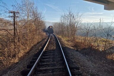 Pirot plus online (Nenad Paunović)