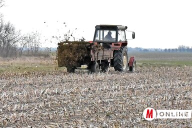 Gergely Árpád felvétele