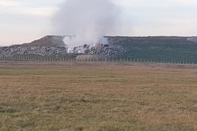 Fotó: Temerin Ökológiai Kezdeményezés