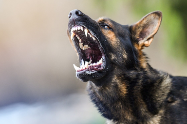 Illusztráció (Fotó: time.rs)