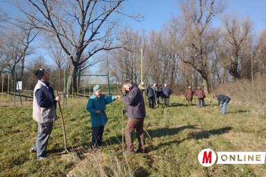 Csincsik Zsolt felvétele