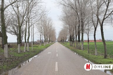 A gazdák a faültetés mellett meg is metszik a már elültetett fákat (Lakatos János felvétele)