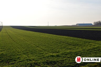 Gulyás Réka felvétele