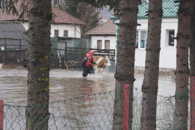 Fotó: Tanjug