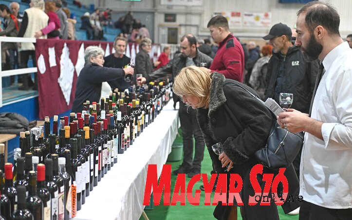 A borversenyen 613 bormintát bíráltak el, amelyeket kiállítottak a Sportcsarnokban (Fotó: Ótos András)
