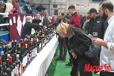 A borversenyen 613 bormintát bíráltak el, amelyeket kiállítottak a Sportcsarnokban (Fotó: Ótos András)