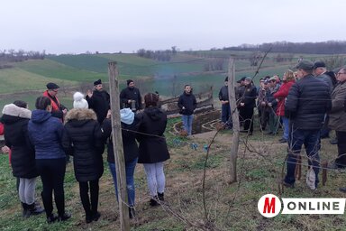 Az idei bácskossuthfalvi venyigeszentelő résztvevői (Kazinczy Paszterkó Diana felvétele)