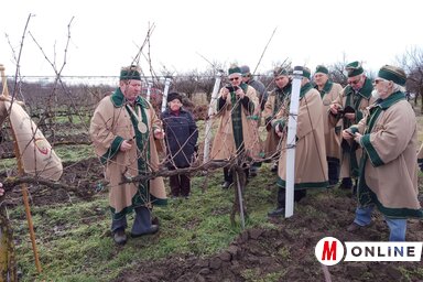 Jenei Klementina felvétele