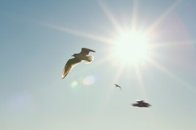 Unsplash