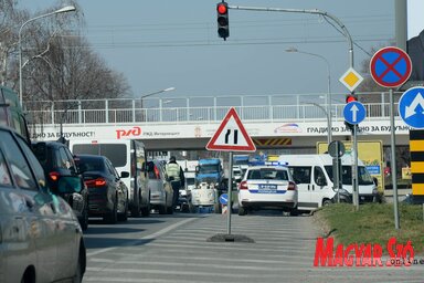 Dávid Csilla