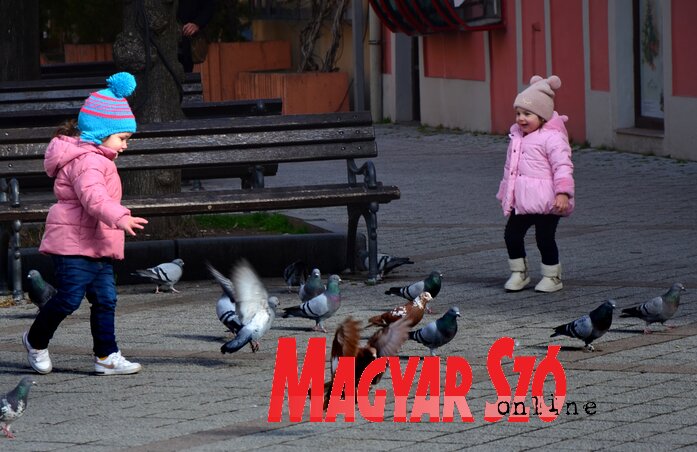 Dávid Csilla felvétele Dávid Csilla felvétele