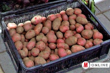 (Fotó: Dávid Csilla)